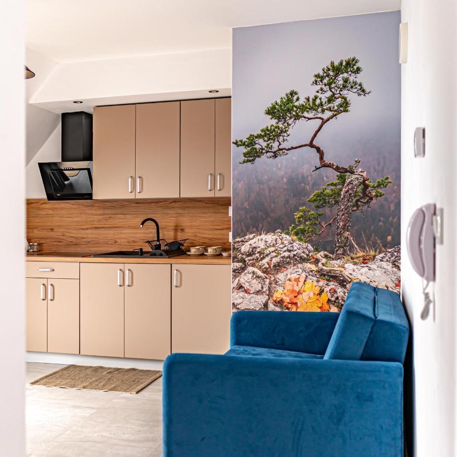Velo Apartamenty Czorsztyn Esterno foto