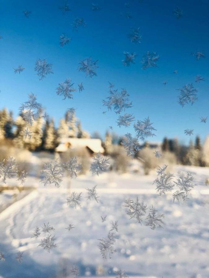 Velo Apartamenty Czorsztyn Esterno foto